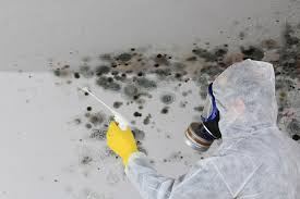 Best Mold Damage Restoration  in Sweetser, IN